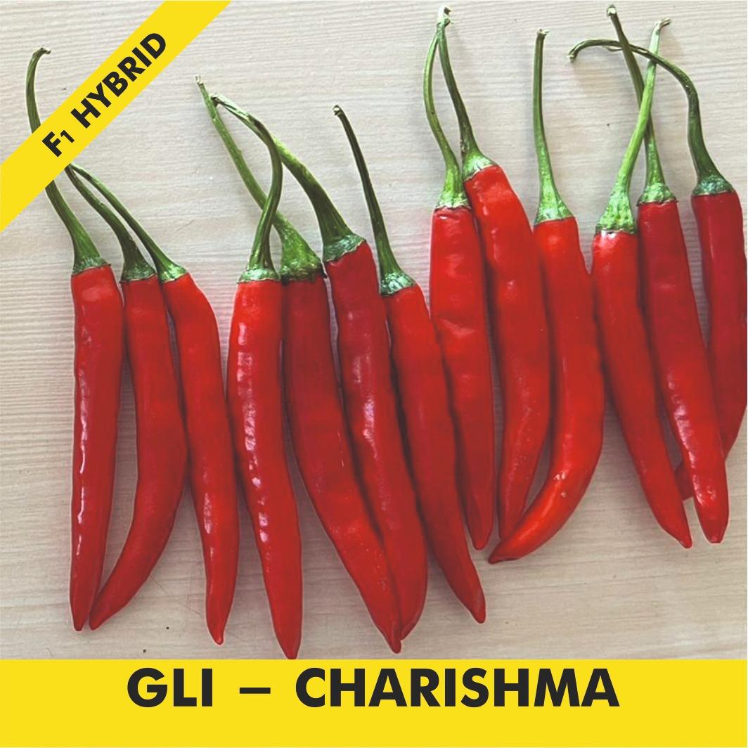 GLI-SUPER GREEN Chilli